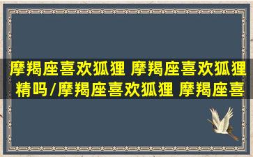 摩羯座喜欢狐狸 摩羯座喜欢狐狸精吗/摩羯座喜欢狐狸 摩羯座喜欢狐狸精吗-我的网站